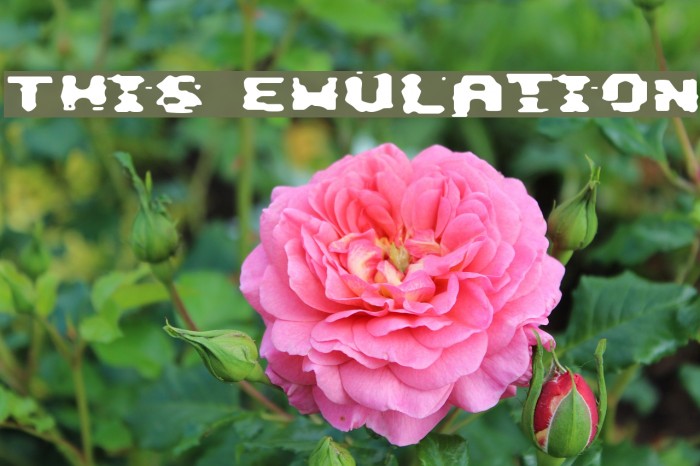 This Emulation Font examples