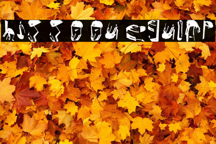 This Is So You Regular Example 2