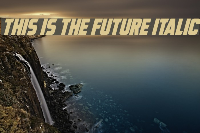 This Is The Future Italic Font examples
