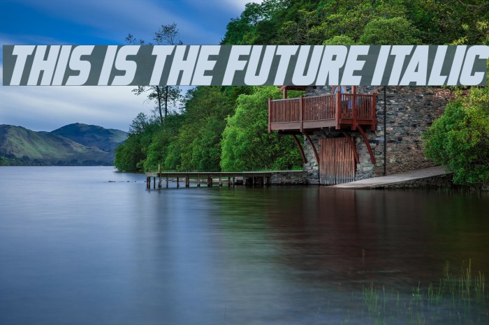 This Is The Future Italic Font examples