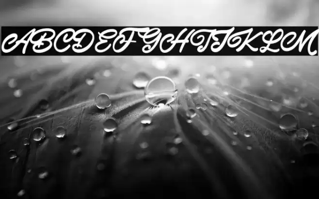 This July Font examples