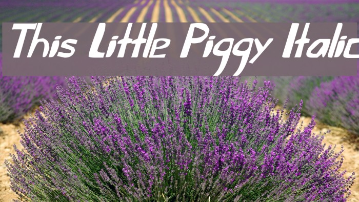 This Little Piggy Italic Font examples