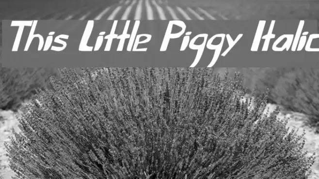 This Little Piggy Italic Fonte examples