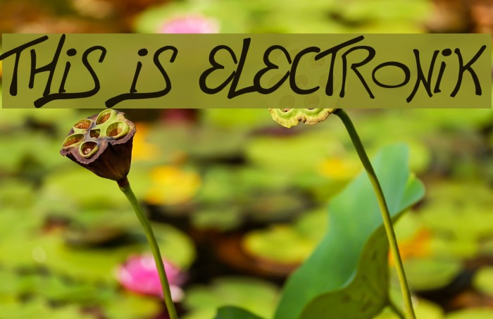 This is Electronik Font examples