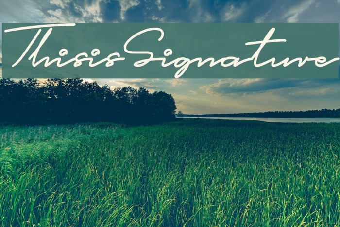 This is Signature Font examples