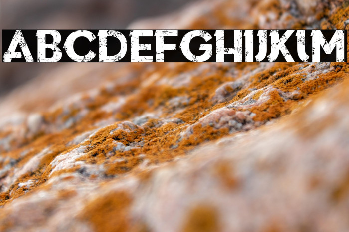 This is who we are Example 1