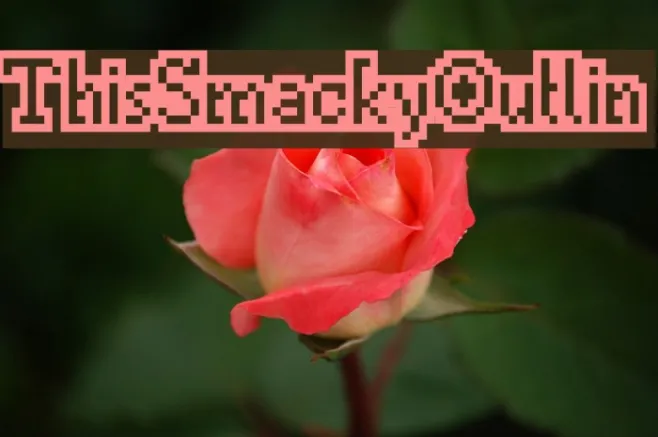 ThisSmackyOutlin Example 2