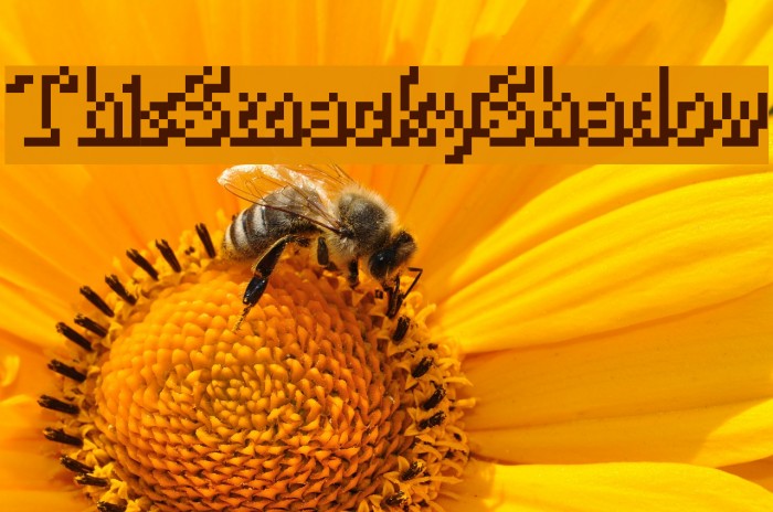 ThisSmackyShadow Example 1