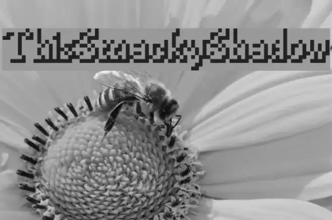 ThisSmackyShadow Font examples