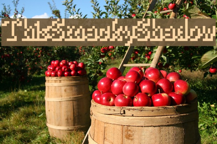 ThisSmackyShadow Example 2