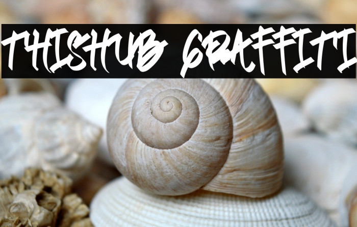 Thishub Graffiti Example 2