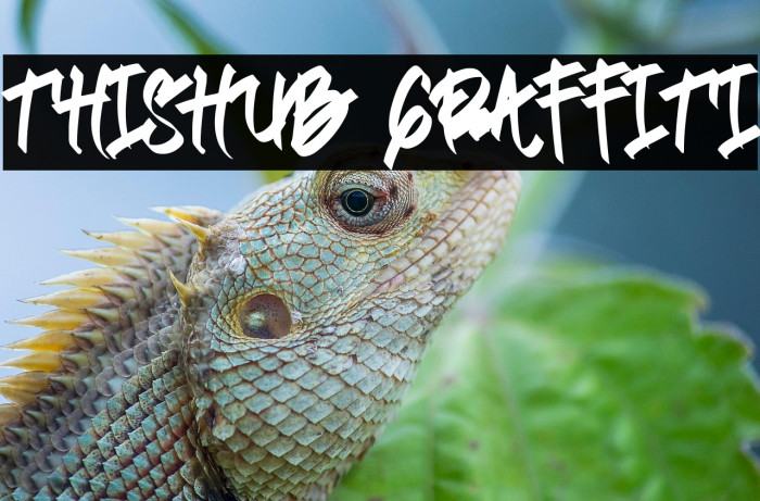 Thishub Graffiti Example 3