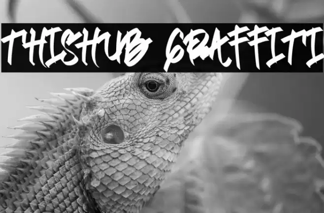 Thishub Graffiti Font examples
