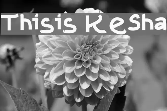 Thisis KeSha Caratteri examples