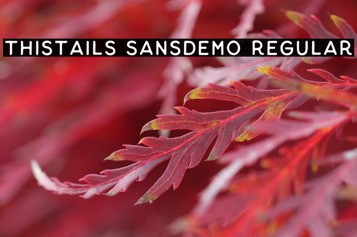 Thistails Sans_Demo Regular Example 3