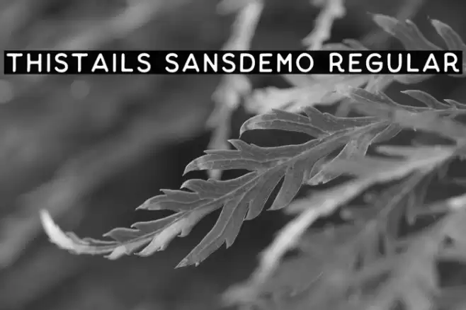 Thistails Sans_Demo Regular خط examples