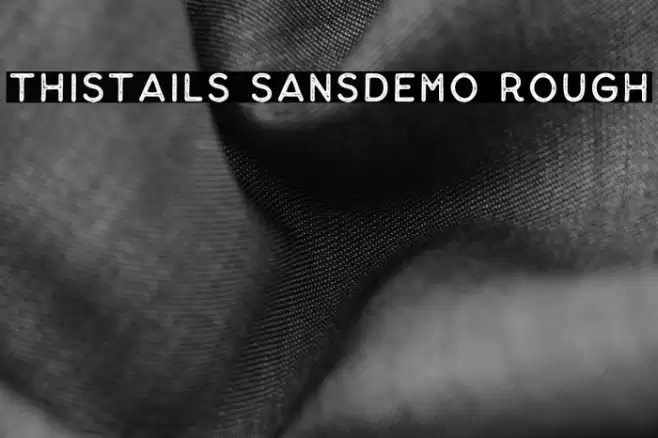 Thistails Sans_Demo Rough Polices examples