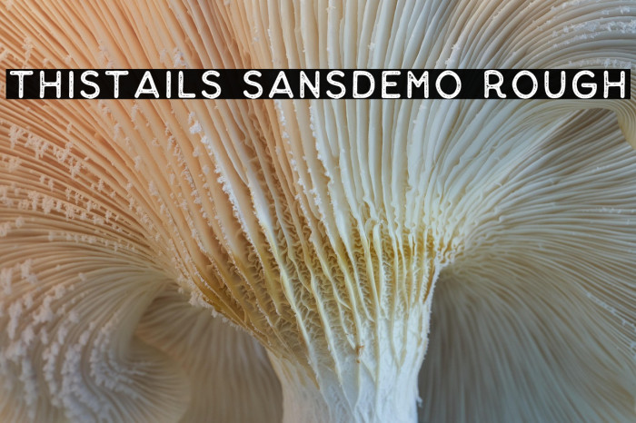 Thistails Sans_Demo Rough Example 2