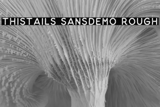 Thistails Sans_Demo Rough Polices examples