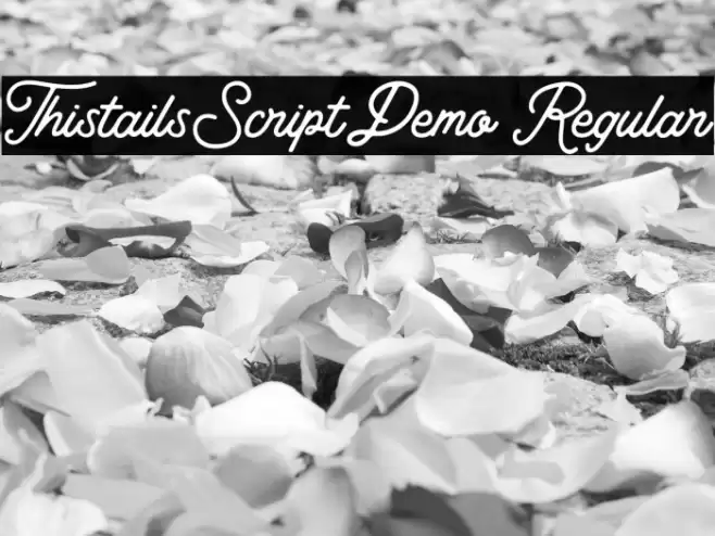 Thistails_Script_Demo Regular Font examples
