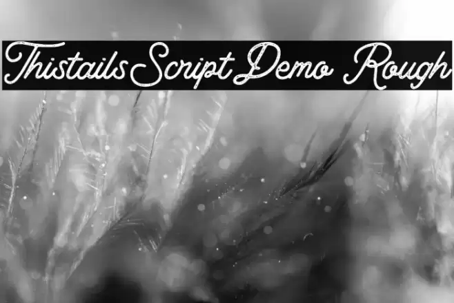Thistails_Script_Demo Rough フォント examples