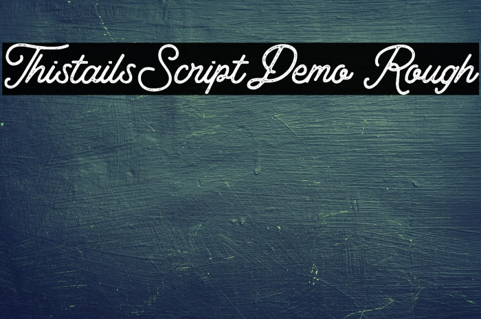 Thistails_Script_Demo Rough Example 3