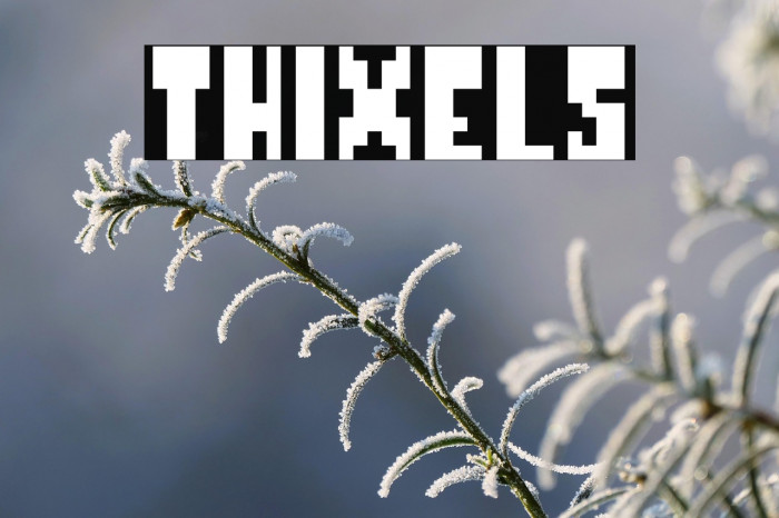 Thixels Example 2