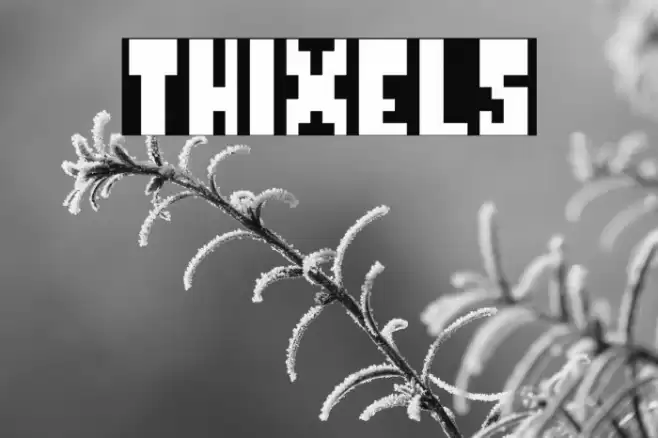 Thixels Fonte examples