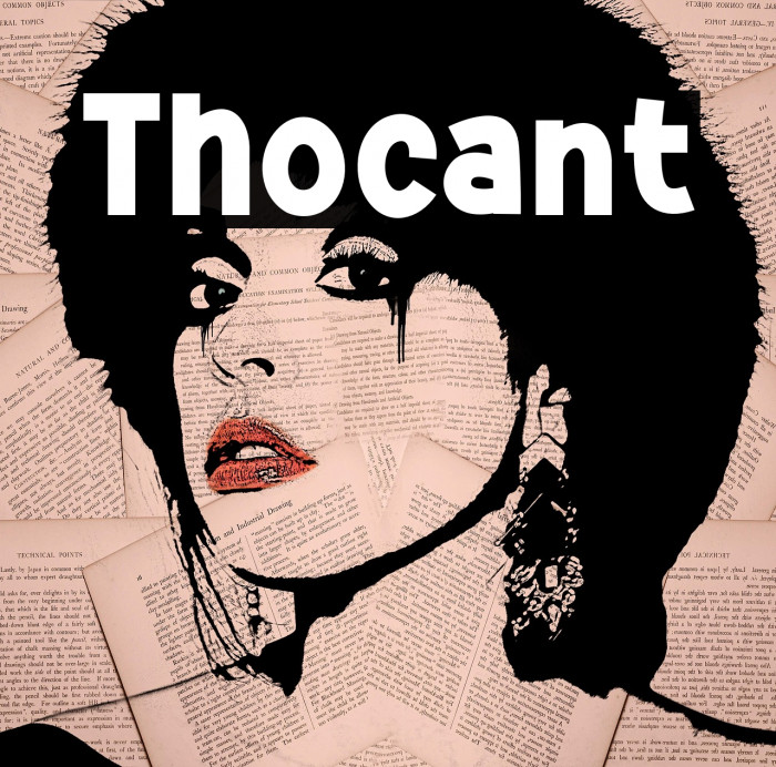 Thocant Example 2