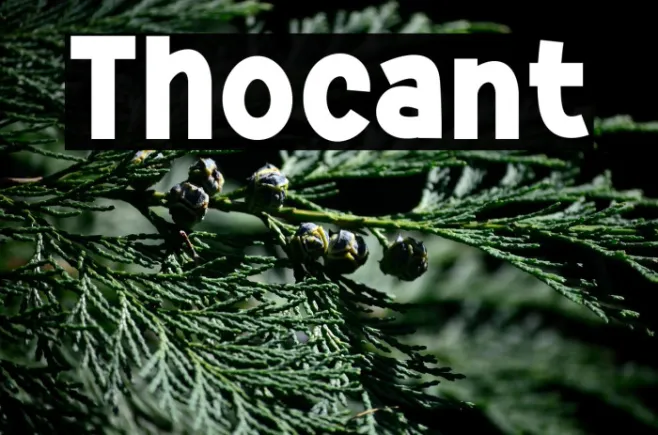 Thocant Example 3