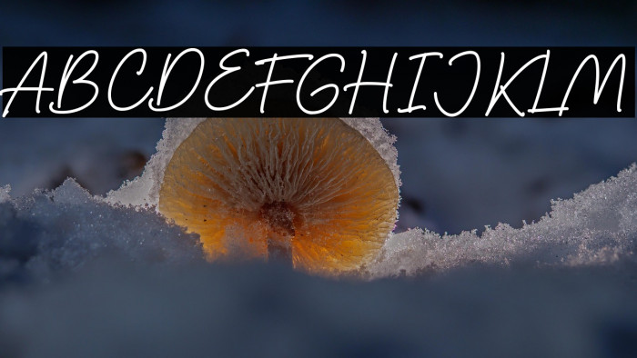 Thoderan Notes Example 1