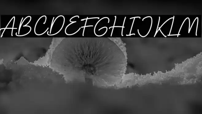 Thoderan Notes Font examples