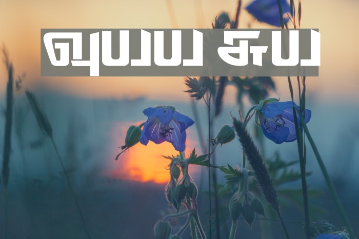 Thodiragam Regular Example 2