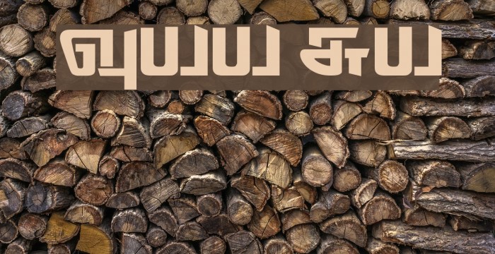 Thodiragam Regular Example 3