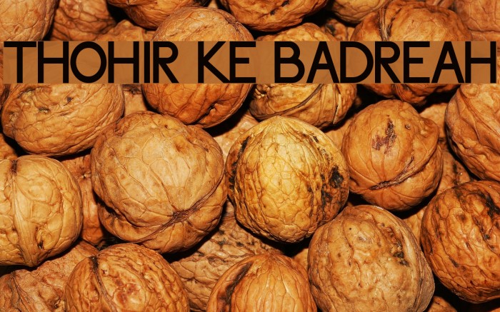 Thohir Ke Badreah Font examples