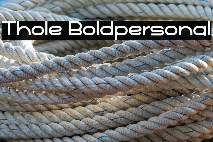 Thole Boldpersonal Example 1