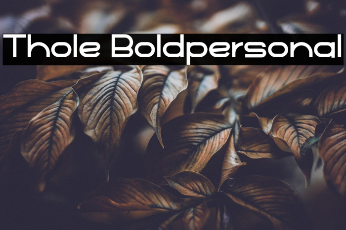Thole Boldpersonal Example 3