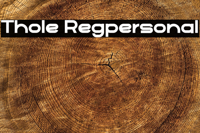 Thole Regpersonal Example 1