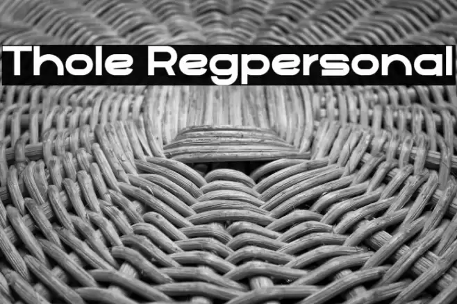 Thole Regpersonal Font examples