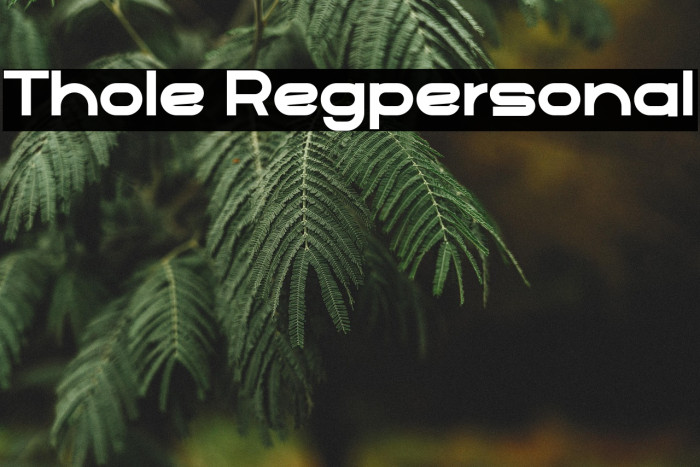 Thole Regpersonal Example 3