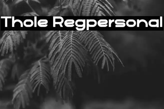 Thole Regpersonal Font examples