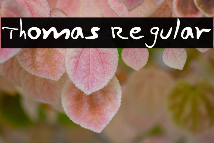 Thomas Regular Example 1