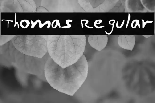 Thomas Regular Fuentes examples