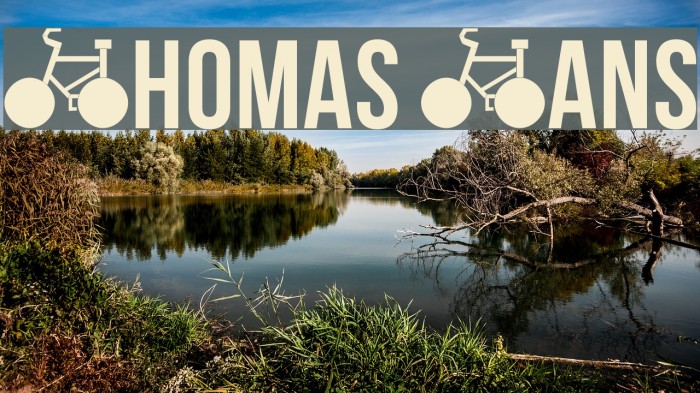 Thomas Sans Font examples