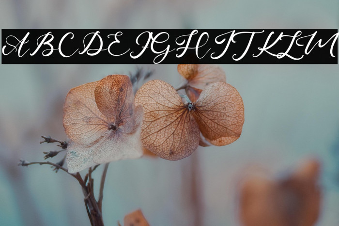 ThomasCharly Example 1