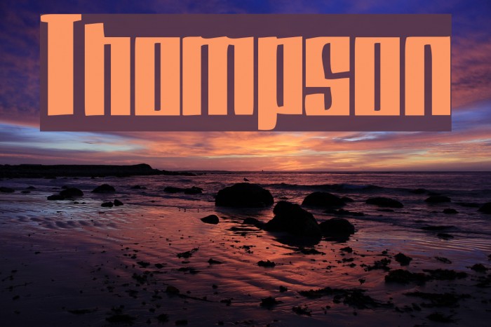 Thompson Шрифта examples