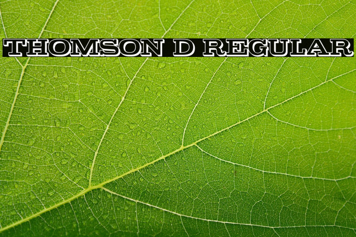 Thomson 3D Regular Example 2