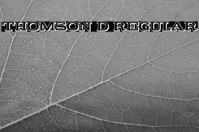 Thomson 3D Regular Font examples