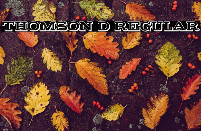 Thomson 3D Regular Example 3