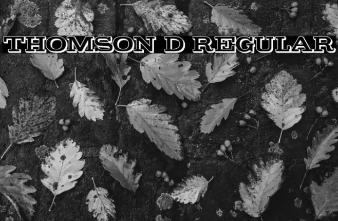 Thomson 3D Regular Font examples